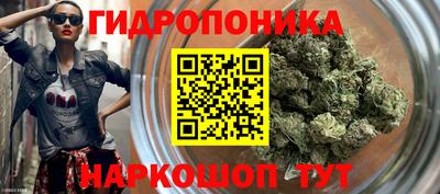 гашиш Новозыбков
