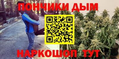 гашиш Новозыбков