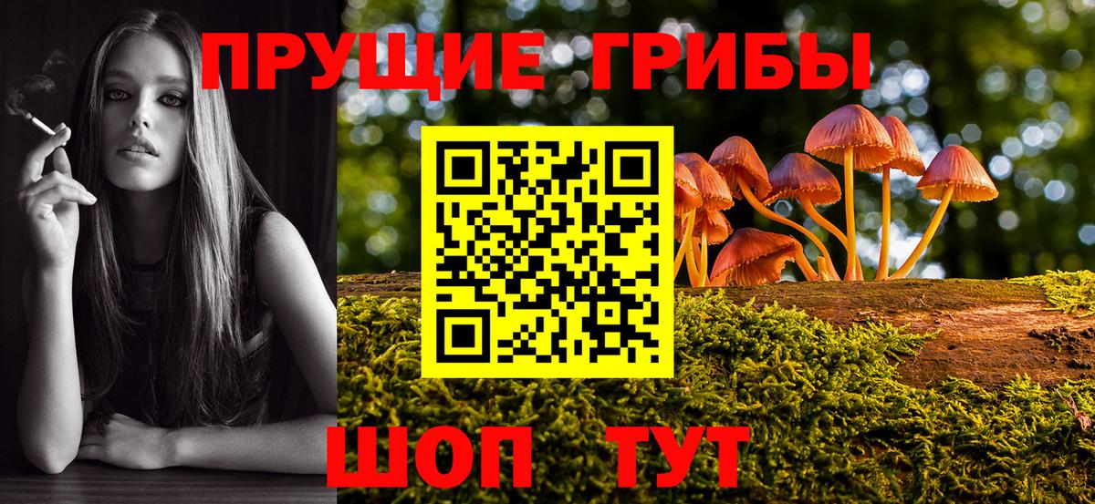 Псилоцибиновые грибы MAGIC MUSHROOMS  Псилоцибиновые грибы прущие грибы  Вход с VPN  где купить наркоту  Обнинск 
