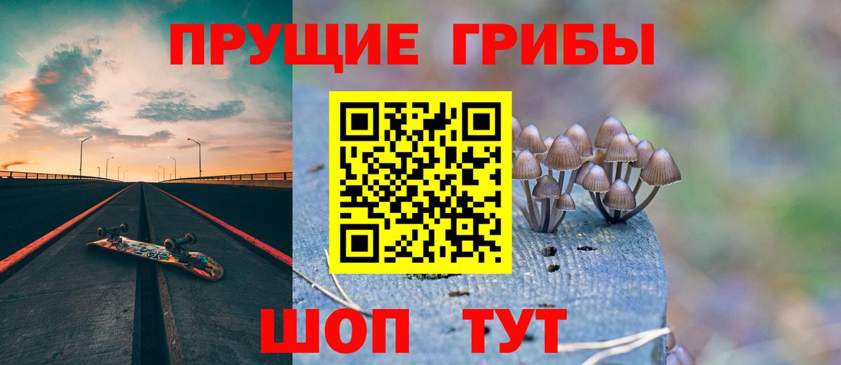 Галлюциногенные грибы Psilocybe Обнинск